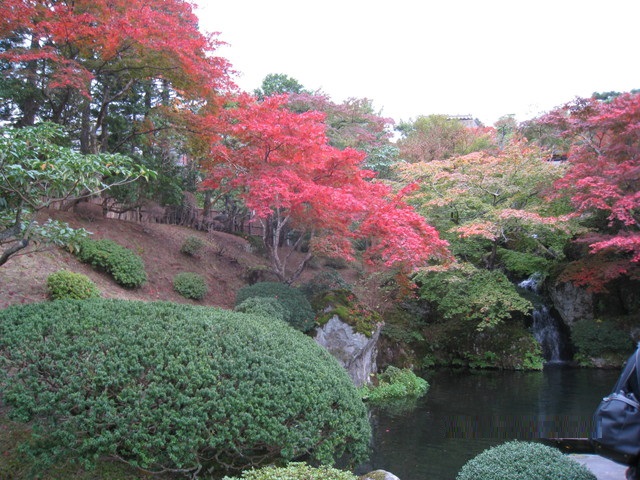 5-画像 034_640x480