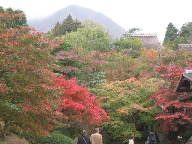4-画像 032_640x480