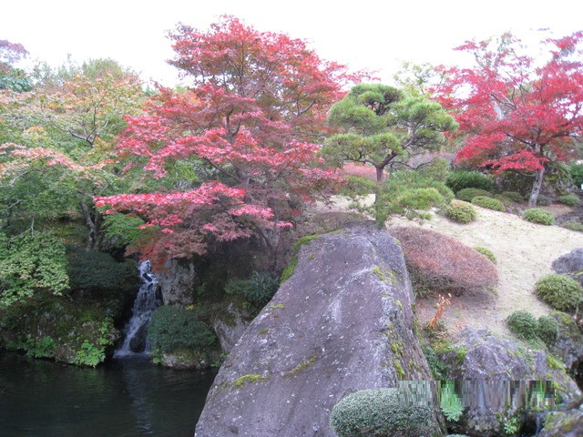 7-画像 038_640x480