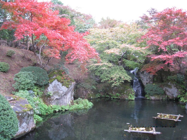 6-画像 037_640x480