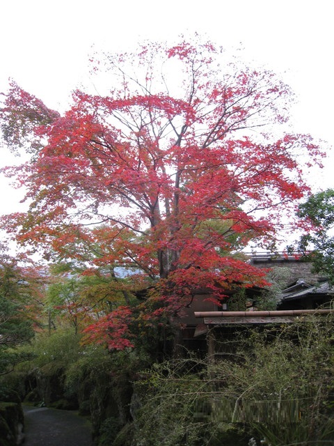 10-画像 044_480x640