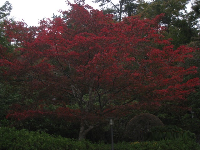 11-画像 046_640x480