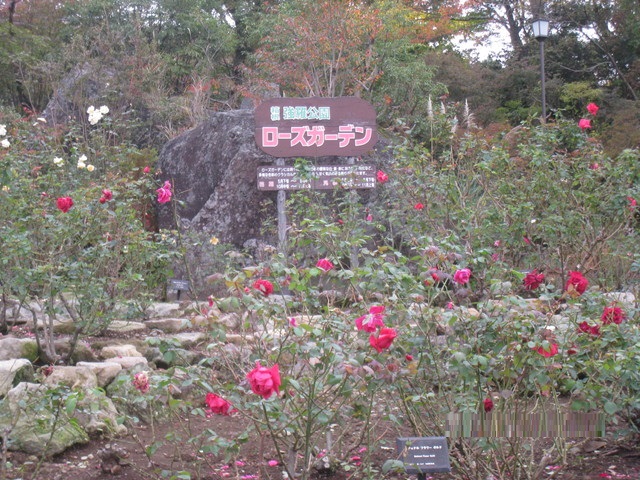 1-画像 016_640x480