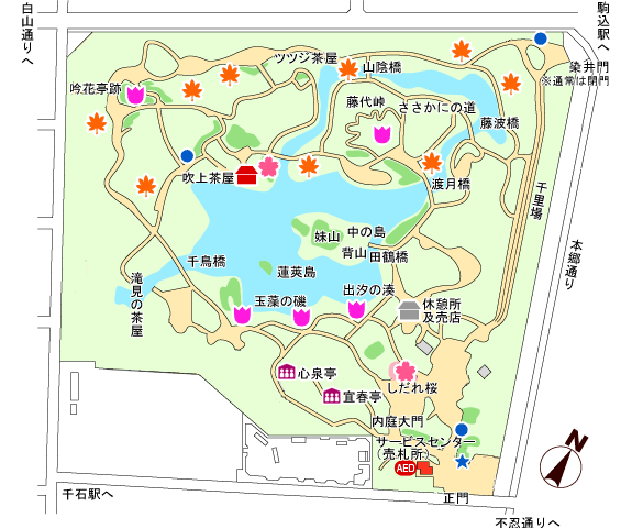rikugien-1