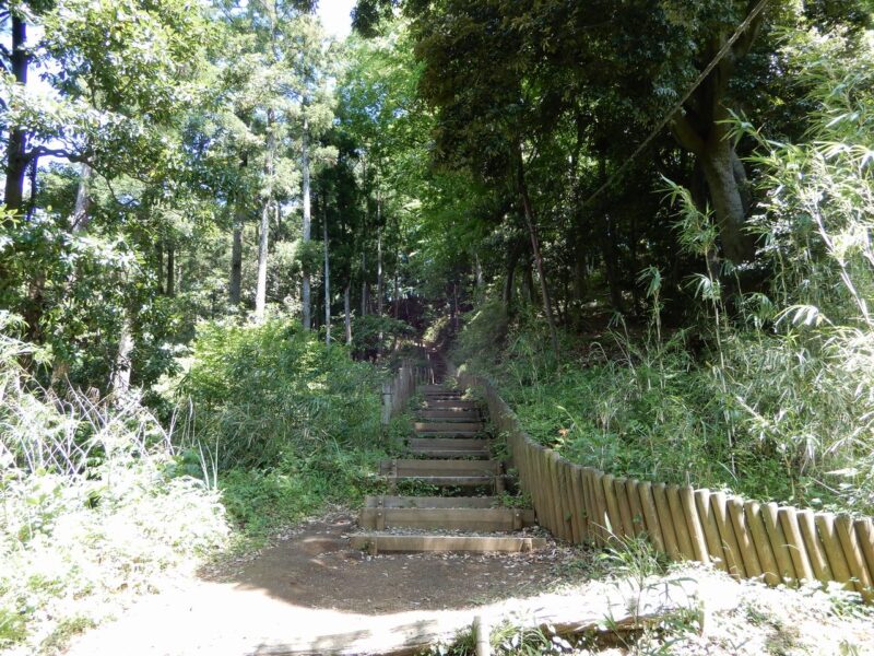 県立七沢森林公園野外ステージ