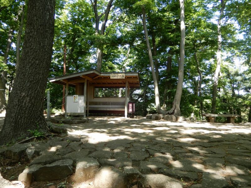 県立七沢森林公園こもれびの丘