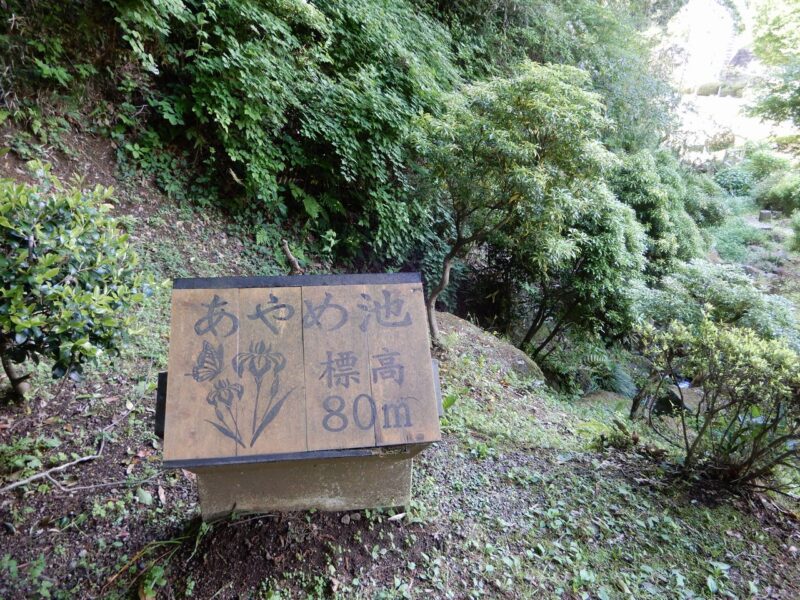 県立七沢森林公園あやめ池