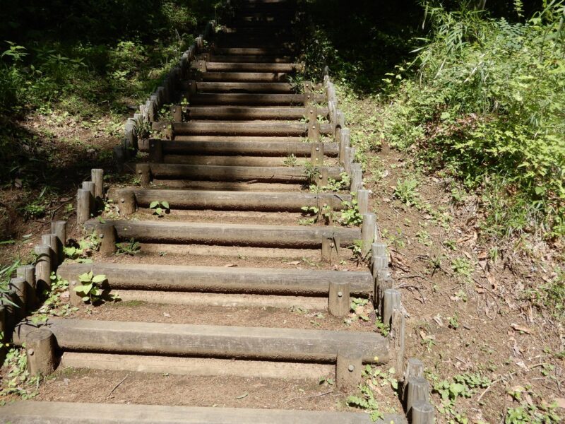 県立七沢森林公園尾根の散歩道
