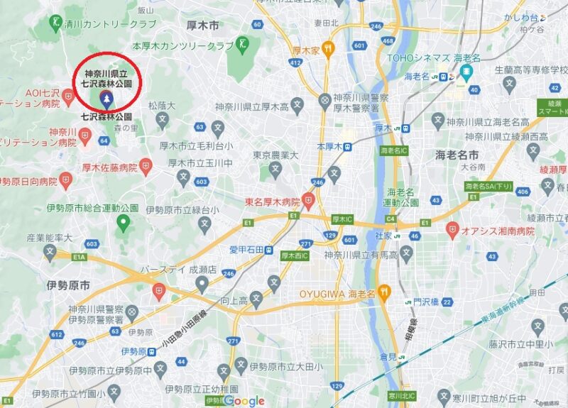 七沢森林公園　MAP