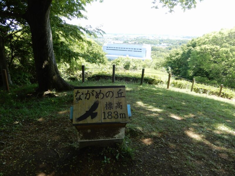 県立七沢森林公園ながめの丘