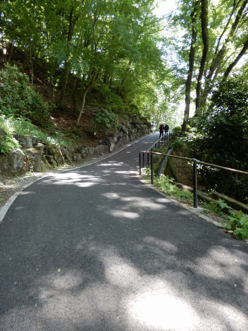 県立七沢森林公園開始坂