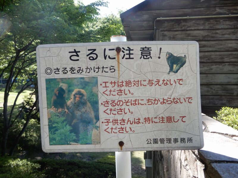 県立七沢森林公園猿注意