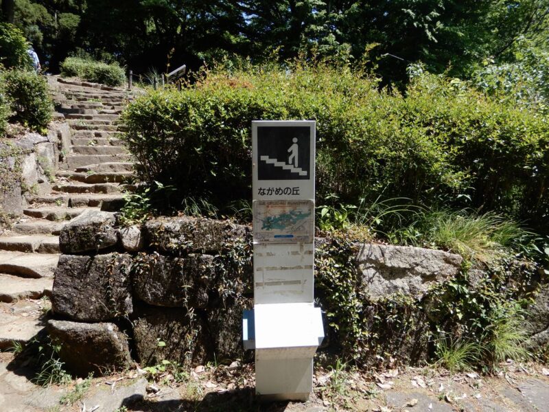 県立七沢森林公園ながめの丘
