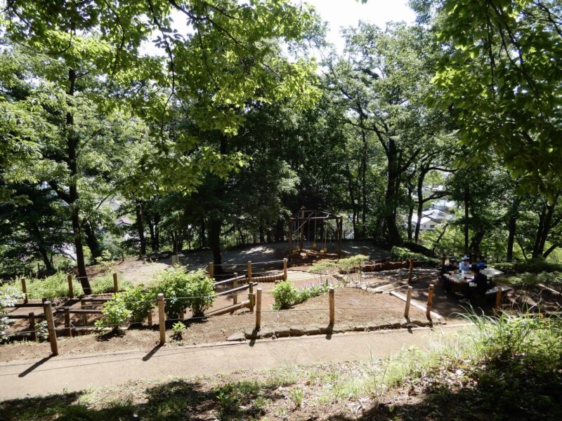 県立七沢森林公園アスレチック広場