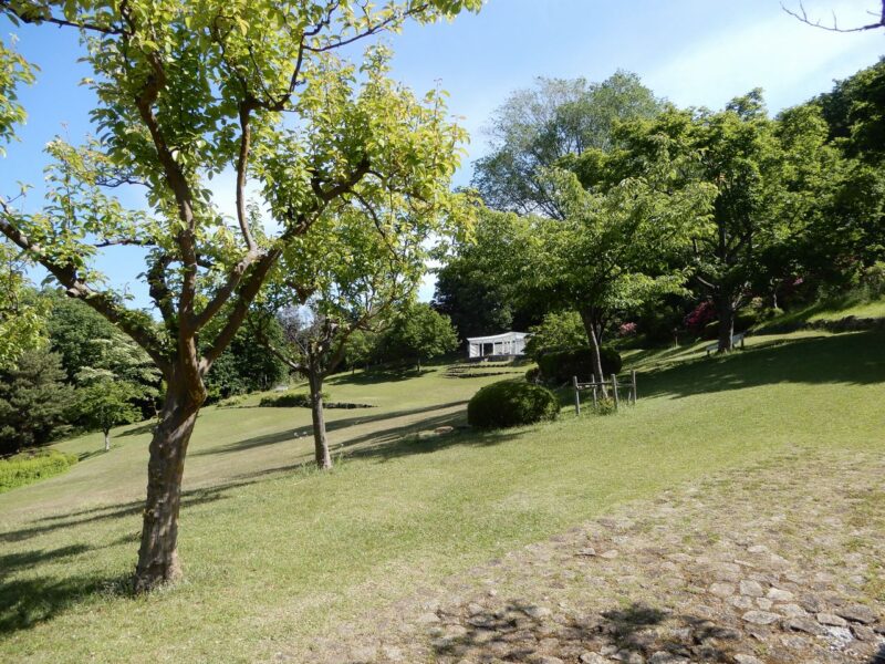 県立七沢森林公園おおやま広場