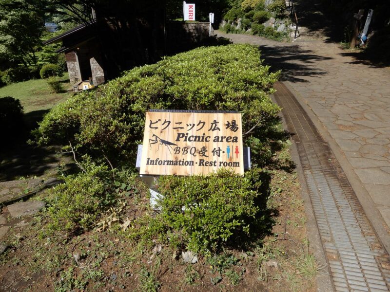県立七沢森林公園ピクニック広場