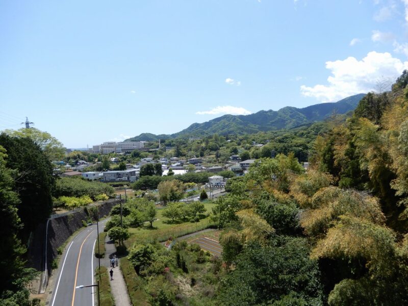 県立七沢森林公園森のかけはし