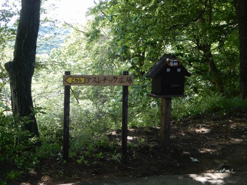 県立七沢森林公園アスレチック広場