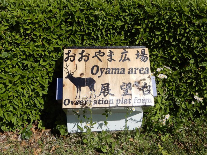 県立七沢森林公園おおやま広場
