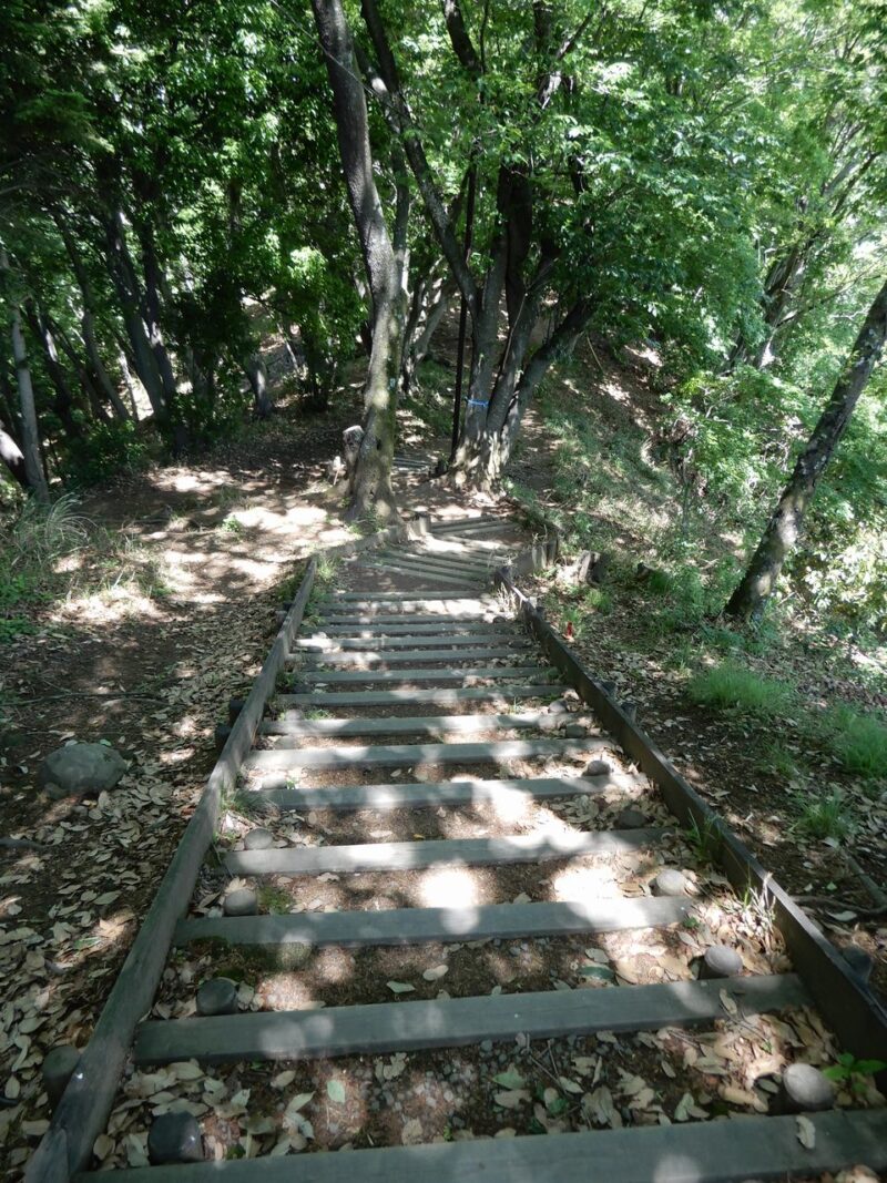県立七沢森林公園尾根の散歩道