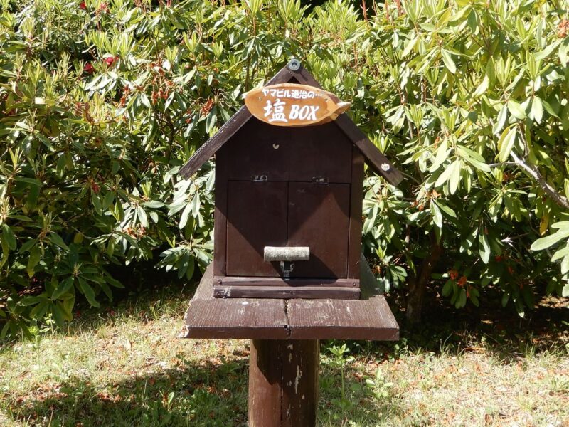県立七沢森林公園ヤマビル撃退