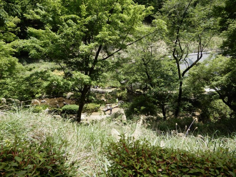 県立七沢森林公園分岐点