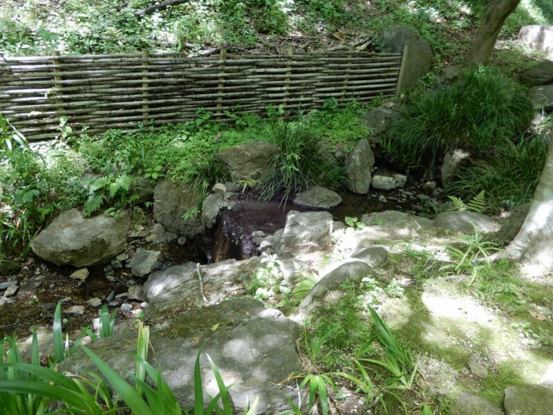 県立七沢森林公園せせらぎ広場