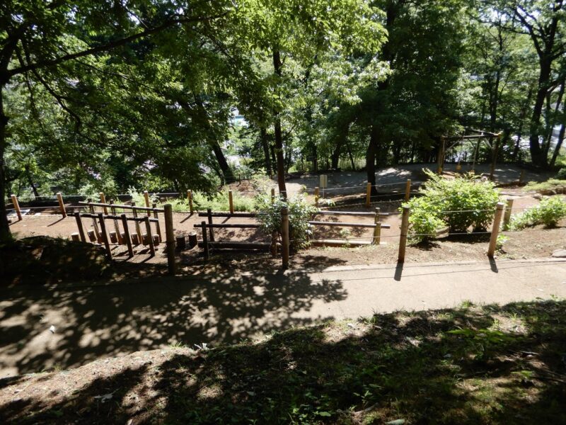 県立七沢森林公園アスレチック広場
