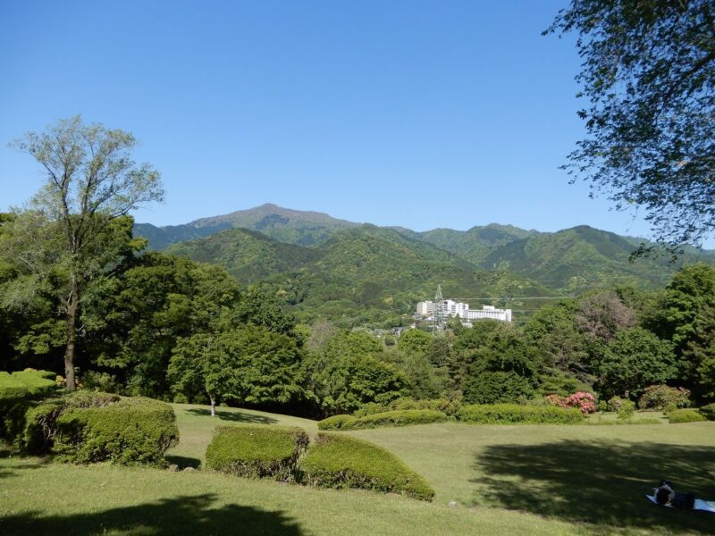 県立七沢森林公園_おおやま広場