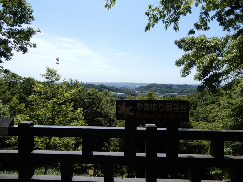 県立七沢森林公園ヤマユリ展望台