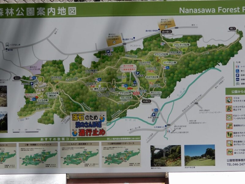 県立七沢森林公園沢のさんぽ道通行止め