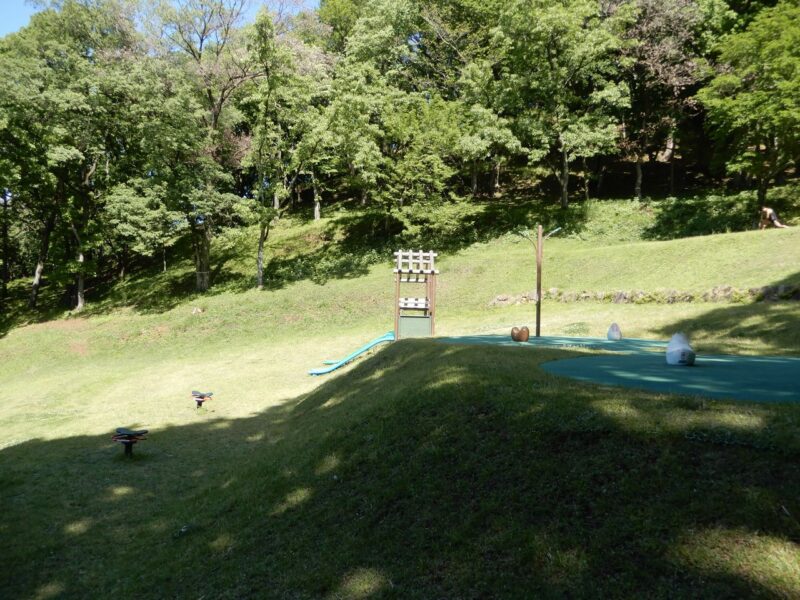 県立七沢森林公園ピクニック広場